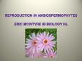 Reproduction in Angiospermophytes PowerPoint PPT Presentation