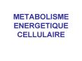 METABOLISME ENERGETIQUE CELLULAIRE PowerPoint PPT Presentation