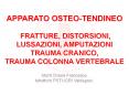 APPARATO OSTEO-TENDINEO  FRATTURE, DISTORSIONI, LUSSAZIONI, AMPUTAZIONI TRAUMA CRANICO, TRAUMA COLONNA VERTEBRALE PowerPoint PPT Presentation