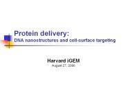 Protein delivery: DNA nanostructures and cell-surface targeting