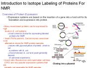 Overview of Protein Expression
