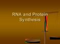 RNA and Protein Synthesis PowerPoint PPT Presentation