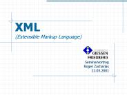 XML (Extensible Markup Language)