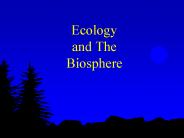 Ecology and The Biosphere