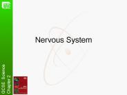 Nervous System