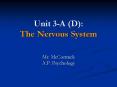 Unit 3-A (D): The Nervous System PowerPoint PPT Presentation