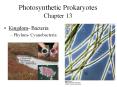 Photosynthetic Prokaryotes Chapter 13 PowerPoint PPT Presentation