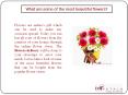 What are some of the most beautiful flowers? PowerPoint PPT Presentation