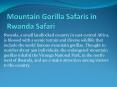 Rwanda Gorilla Tours and Rwanda Safari PowerPoint PPT Presentation