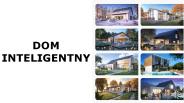 Dom integentny