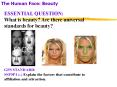 The Human Face: Beauty PowerPoint PPT Presentation