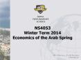 NS4053 Winter Term 2014 Economics of the Arab Spring PowerPoint PPT Presentation