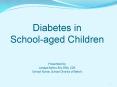 Diabetes in School-aged Children Presented by Lanaya Ballou RN, BSN, CDE School Nurse, School District of Beloit PowerPoint PPT Presentation