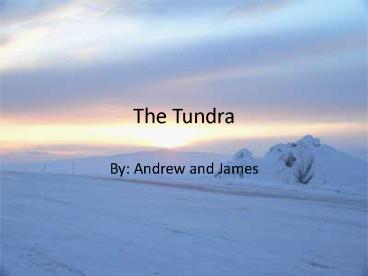 The Tundra