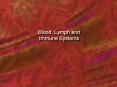 Blood, Lymph and Immune Systems PowerPoint PPT Presentation
