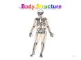 Body Structure PowerPoint PPT Presentation