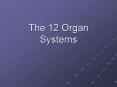 The 12 Organ Systems PowerPoint PPT Presentation