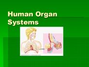 Human Organ Systems