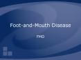 Foot-and-Mouth Disease PowerPoint PPT Presentation