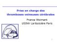 Prise en charge des thromboses veineuses c PowerPoint PPT Presentation
