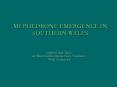MEPHEDRONE EMERGENCE IN SOUTHERN WALES PowerPoint PPT Presentation