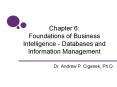 Chapter 6: Foundations of Business Intelligence - Databases and Information Management PowerPoint PPT Presentation