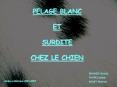 PELAGE BLANC  ET  SURDITE CHEZ LE CHIEN PowerPoint PPT Presentation