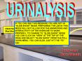 URINALYSIS PowerPoint PPT Presentation