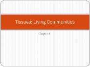 Tissues: Living Communities
