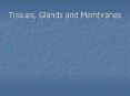 Tissues, Glands and Membranes PowerPoint PPT Presentation
