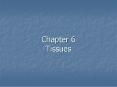 Chapter 6 Tissues PowerPoint PPT Presentation