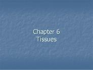Chapter 6 Tissues