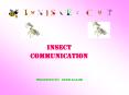 Insect communication PowerPoint PPT Presentation