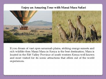 Enjoy an Amazing Tour with Masai Mara Safari