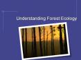 Understanding Forest Ecology PowerPoint PPT Presentation
