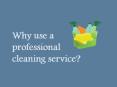 Benefits of Hiring Professional Cleaning Service PowerPoint PPT Presentation