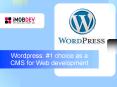 Web Development Services-Wordpress Development PowerPoint PPT Presentation
