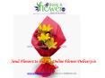 Send Flowers to India | Online Flower Delivery in India