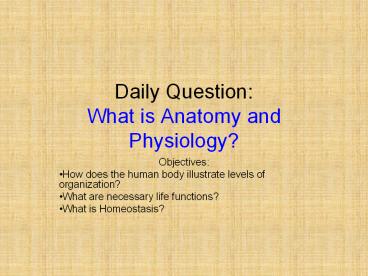 Daily Question: What is Anatomy and Physiology?