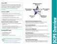 DCIPS Overview PowerPoint PPT Presentation