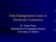 Data Management Issues in Electronic Commerce