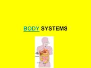 BODY SYSTEMS