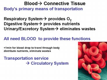 Blood? Connective Tissue