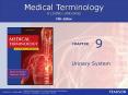 Urinary System PowerPoint PPT Presentation
