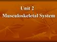 Musculoskeletal System PowerPoint PPT Presentation