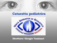 Presentazione di PowerPoint