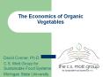 The Economics of Organic Vegetables PowerPoint PPT Presentation