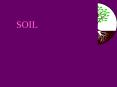 SOIL PowerPoint PPT Presentation