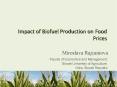 Impact of Biofuel Production on Food Prices PowerPoint PPT Presentation