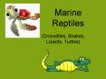 Marine Reptiles PowerPoint PPT Presentation